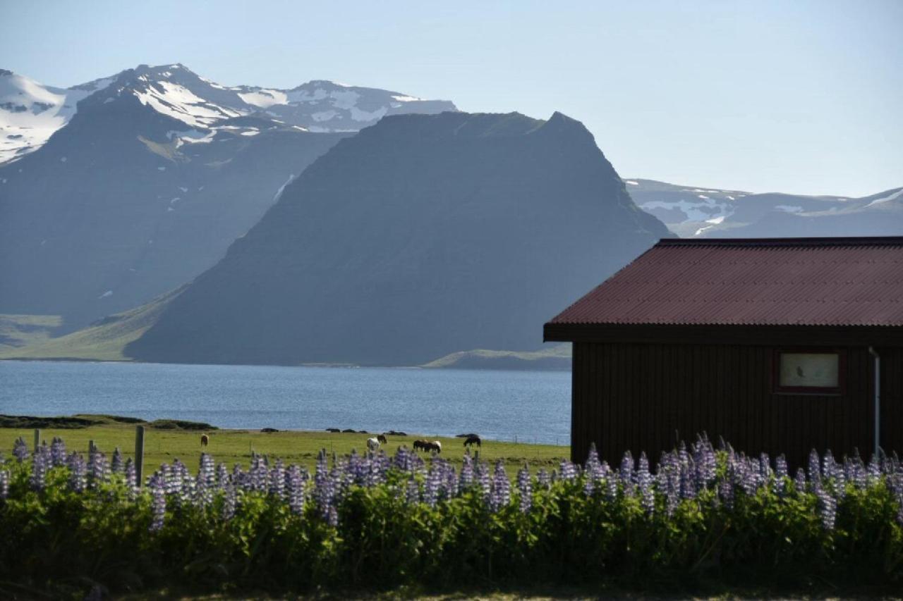 Sudur-Bar Guesthouse Grundarfjordur Exterior foto